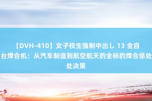 【DVH-410】女子校生強制中出し 13 全自动平台焊合机：从汽车制造到航空航天的全标的焊合惩处决策