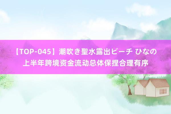 【TOP-045】潮吹き聖水露出ビーチ ひなの 上半年跨境资金流动总体保捏合理有序