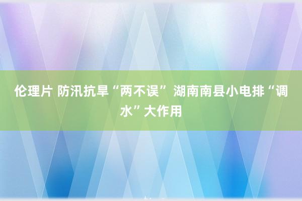 伦理片 防汛抗旱“两不误” 湖南南县小电排“调水”大作用