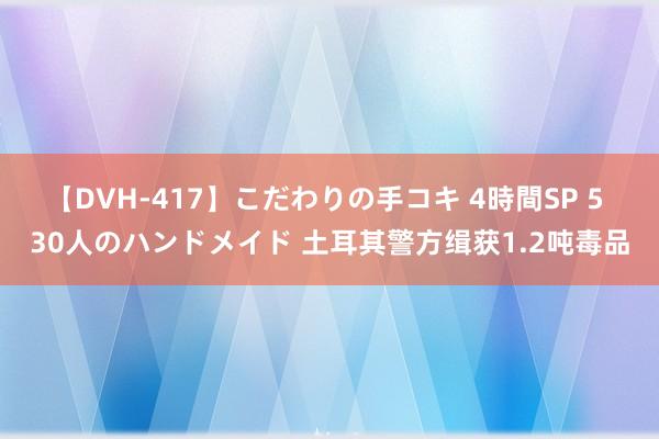 【DVH-417】こだわりの手コキ 4時間SP 5 30人のハンドメイド 土耳其警方缉获1.2吨毒品