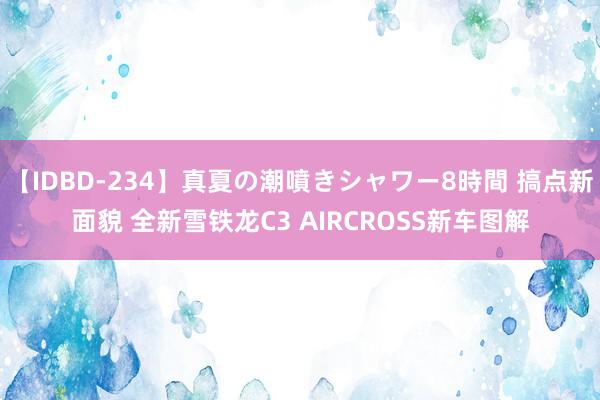 【IDBD-234】真夏の潮噴きシャワー8時間 搞点新面貌 全新雪铁龙C3 AIRCROSS新车图解