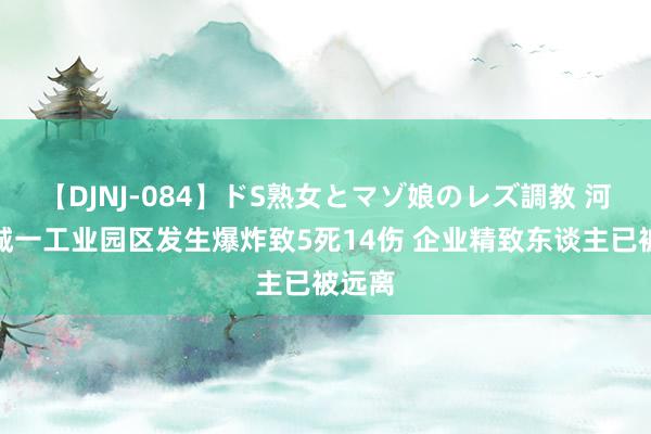 【DJNJ-084】ドS熟女とマゾ娘のレズ調教 河南永城一工业园区发生爆炸致5死14伤 企业精致东谈主已被远离