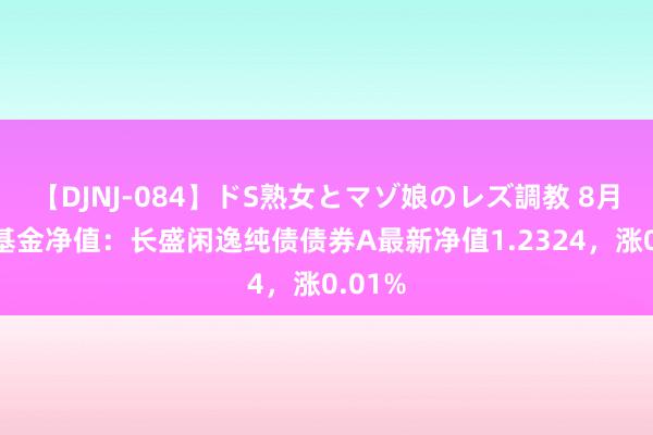 【DJNJ-084】ドS熟女とマゾ娘のレズ調教 8月16日基金净值：长盛闲逸纯债债券A最新净值1.2324，涨0.01%