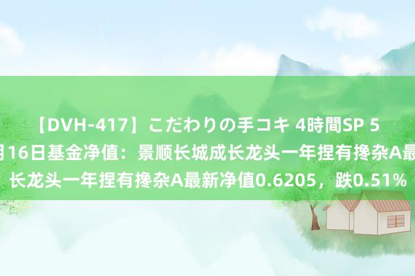 【DVH-417】こだわりの手コキ 4時間SP 5 30人のハンドメイド 8月16日基金净值：景顺长城成长龙头一年捏有搀杂A最新净值0.6205，跌0.51%