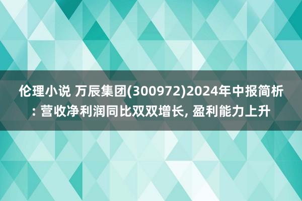 伦理小说 万辰集团(300972)2024年中报简析: 营收净利润同比双双增长， 盈利能力上升