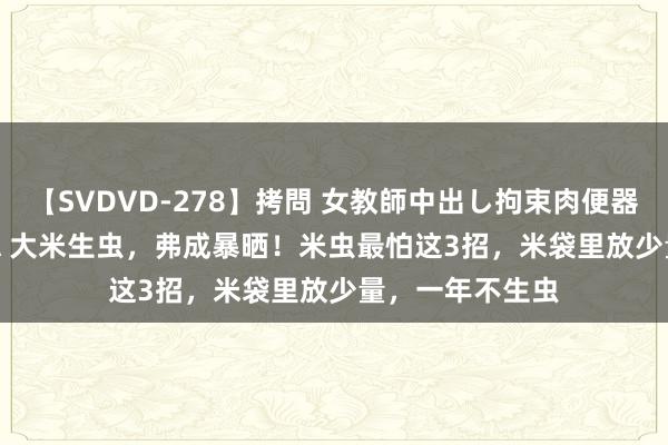 【SVDVD-278】拷問 女教師中出し拘束肉便器 仁科百華 RISA 大米生虫，弗成暴晒！米虫最怕这3招，米袋里放少量，一年不生虫