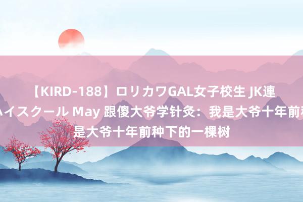 【KIRD-188】ロリカワGAL女子校生 JK連続一撃顔射ハイスクール May 跟傻大爷学针灸：我是大爷十年前种下的一棵树