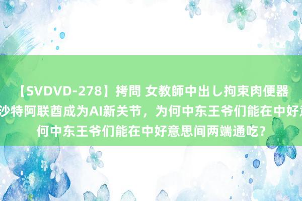 【SVDVD-278】拷問 女教師中出し拘束肉便器 仁科百華 RISA 沙特阿联酋成为AI新关节，为何中东王爷们能在中好意思间两端通吃？