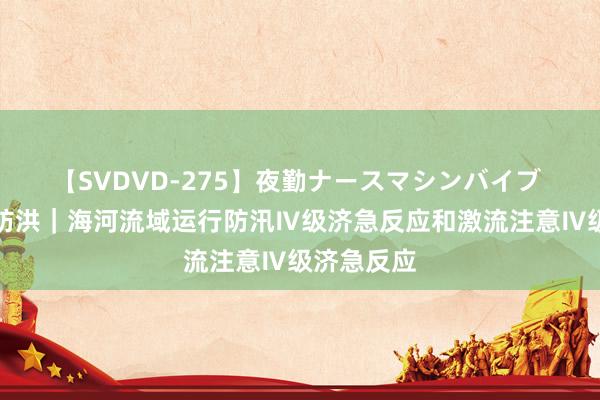 【SVDVD-275】夜勤ナースマシンバイブ 聚焦防汛防洪｜海河流域运行防汛Ⅳ级济急反应和激流注意Ⅳ级济急反应