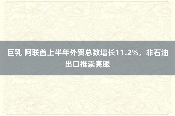 巨乳 阿联酋上半年外贸总数增长11.2%，非石油出口推崇亮眼