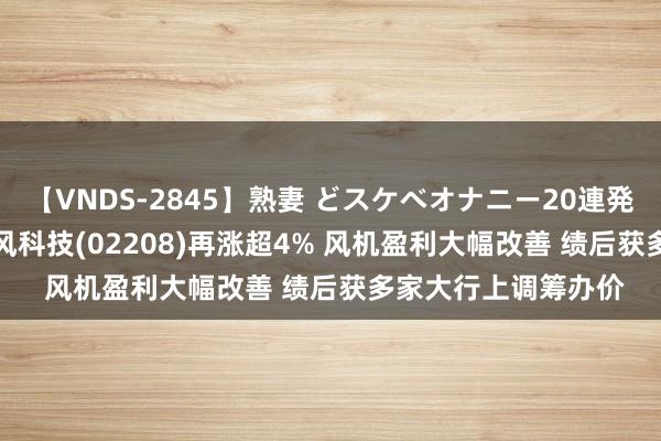 【VNDS-2845】熟妻 どスケベオナニー20連発！！ 港股异动 | 金风科技(02208)再涨超4% 风机盈利大幅改善 绩后获多家大行上调筹办价