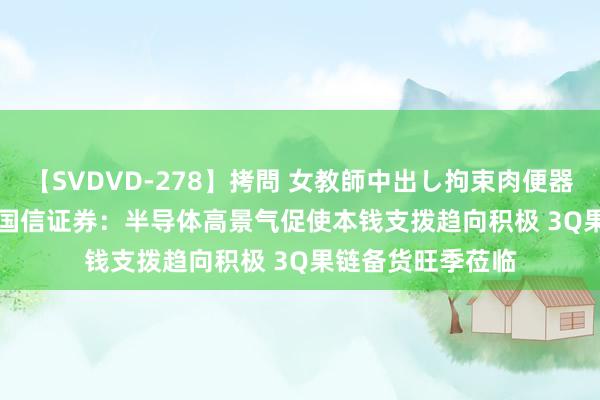 【SVDVD-278】拷問 女教師中出し拘束肉便器 仁科百華 RISA 国信证券：半导体高景气促使本钱支拨趋向积极 3Q果链备货旺季莅临