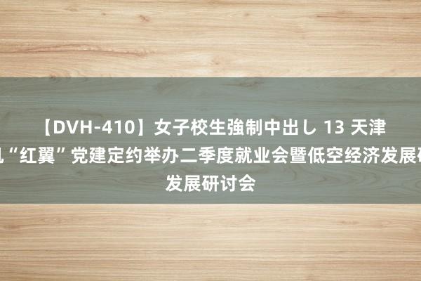 【DVH-410】女子校生強制中出し 13 天津直升机“红翼”党建定约举办二季度就业会暨低空经济发展研讨会