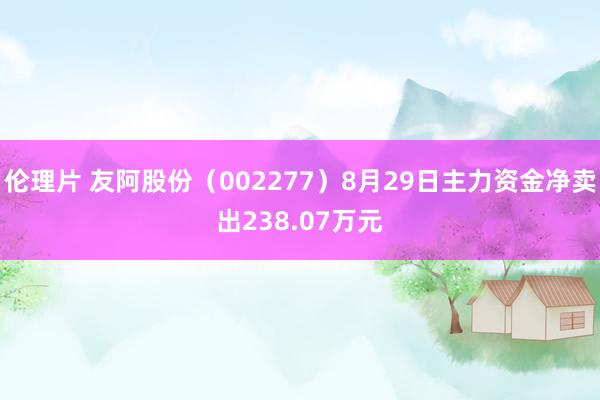 伦理片 友阿股份（002277）8月29日主力资金净卖出238.07万元