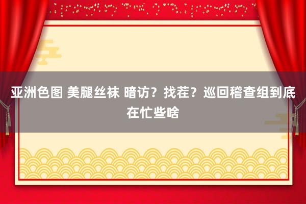 亚洲色图 美腿丝袜 暗访？找茬？巡回稽查组到底在忙些啥