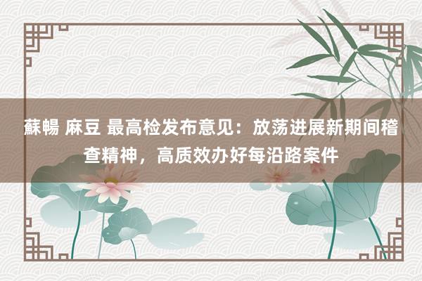 蘇暢 麻豆 最高检发布意见：放荡进展新期间稽查精神，高质效办好每沿路案件