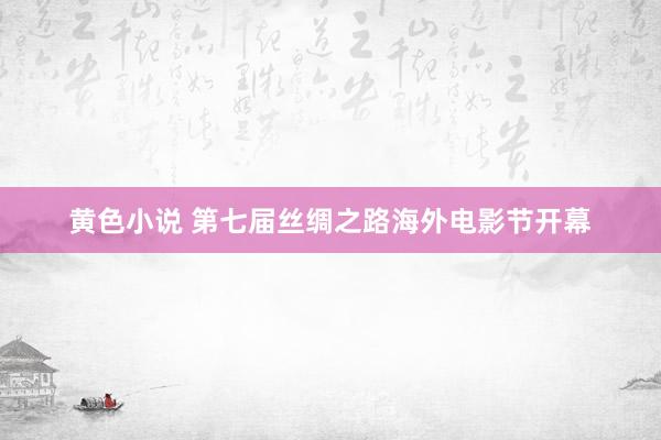 黄色小说 第七届丝绸之路海外电影节开幕