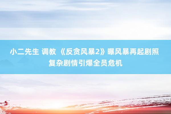 小二先生 调教 《反贪风暴2》曝风暴再起剧照 复杂剧情引爆全员危机