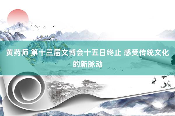 黄药师 第十三届文博会十五日终止 感受传统文化的新脉动