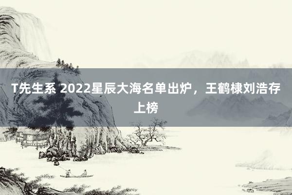 T先生系 2022星辰大海名单出炉，王鹤棣刘浩存上榜