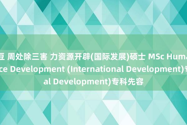 麻豆 周处除三害 力资源开辟(国际发展)硕士 MSc Human Resource Development (International Development)专科先容