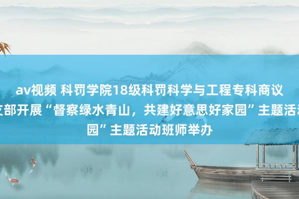 av视频 科罚学院18级科罚科学与工程专科商议生第四党支部开展“督察绿水青山，共建好意思好家园”主题活动班师举办